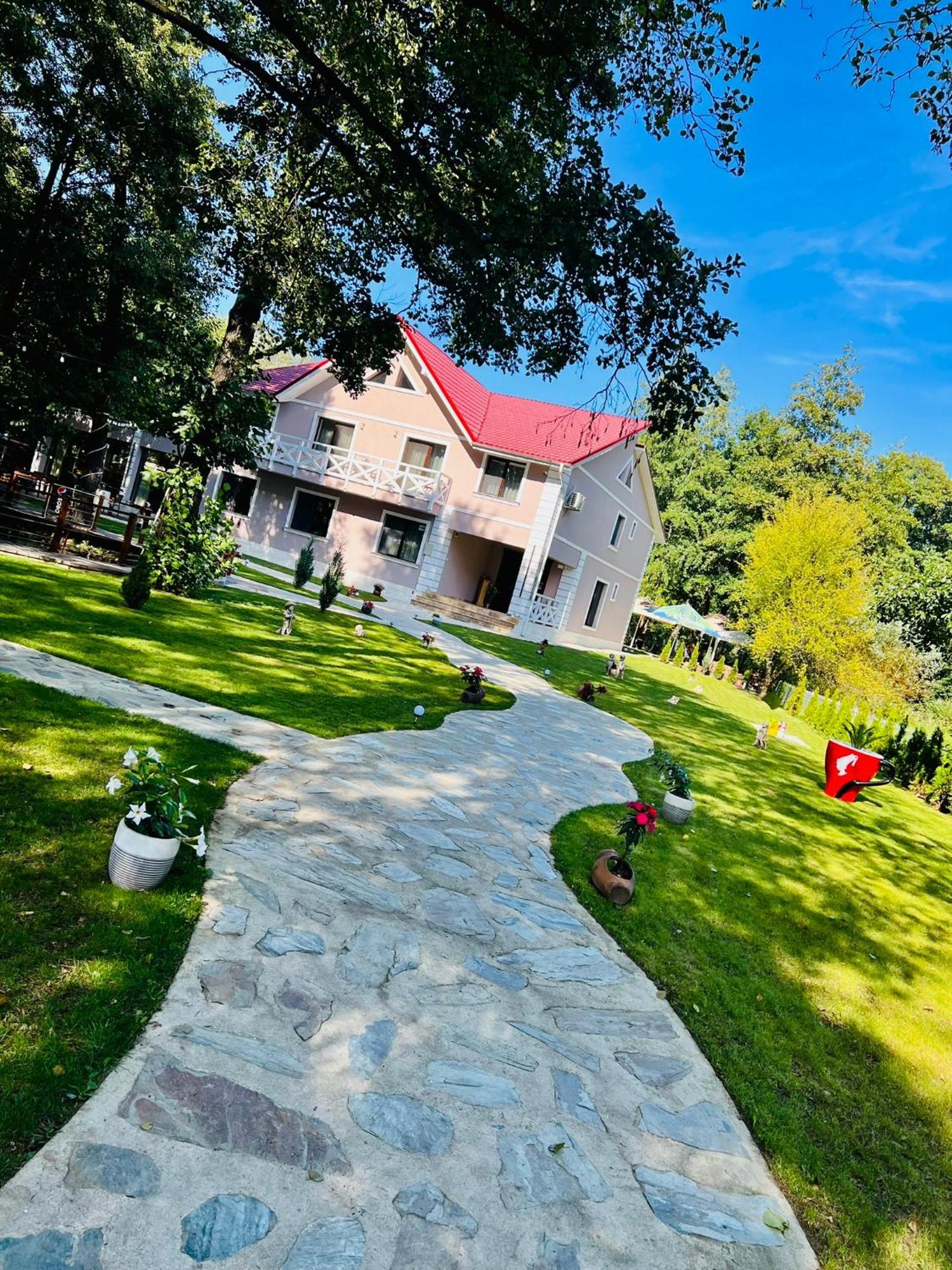 Отель Pensiunea Pink House Runcu Рунку Экстерьер фото